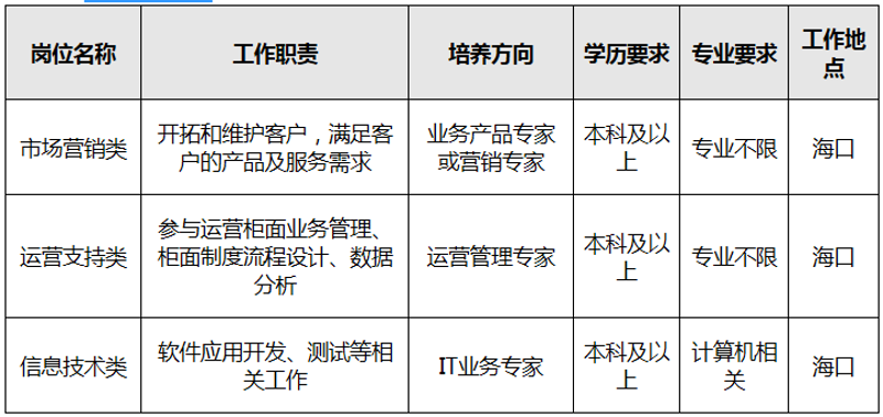 儋州软件开发：科技触角下的创新加速